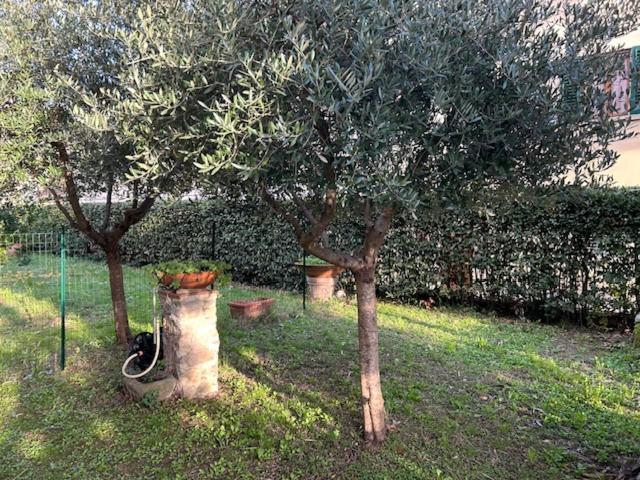 Villa La Casa di Claudia Firenze Esterno foto