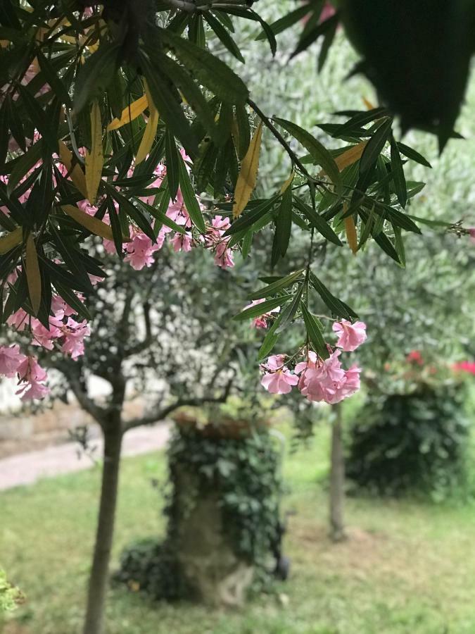 Villa La Casa di Claudia Firenze Esterno foto